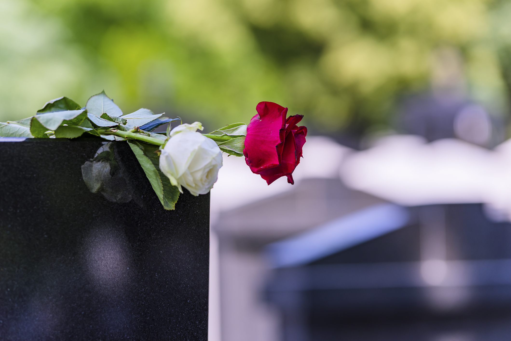 Funérarium et crématorium : quelles sont les différences ?